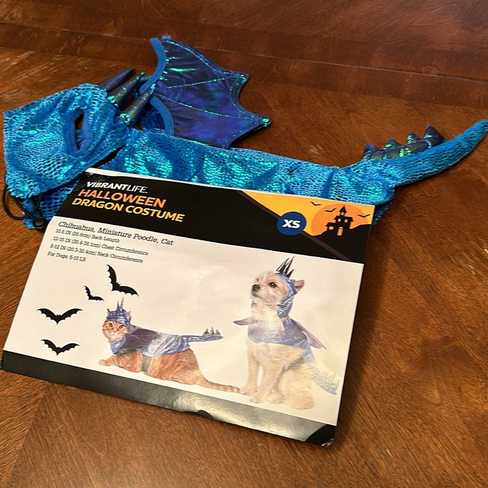 NEW! Pet Costume! 🐉🦇